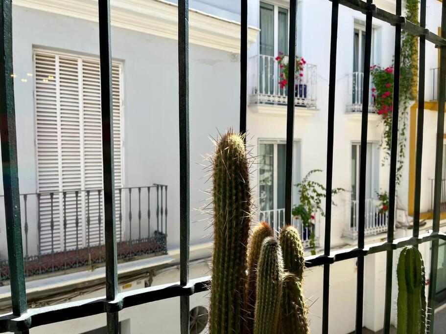 Apartamento Suite Alameda De Hercules Севілья Екстер'єр фото
